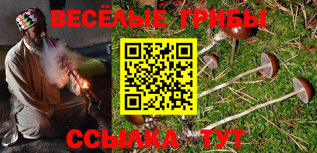 Псилоцибиновые грибы Cubensis  Вход с VPN  Уварово  Псилоцибиновые грибы ЛСД 